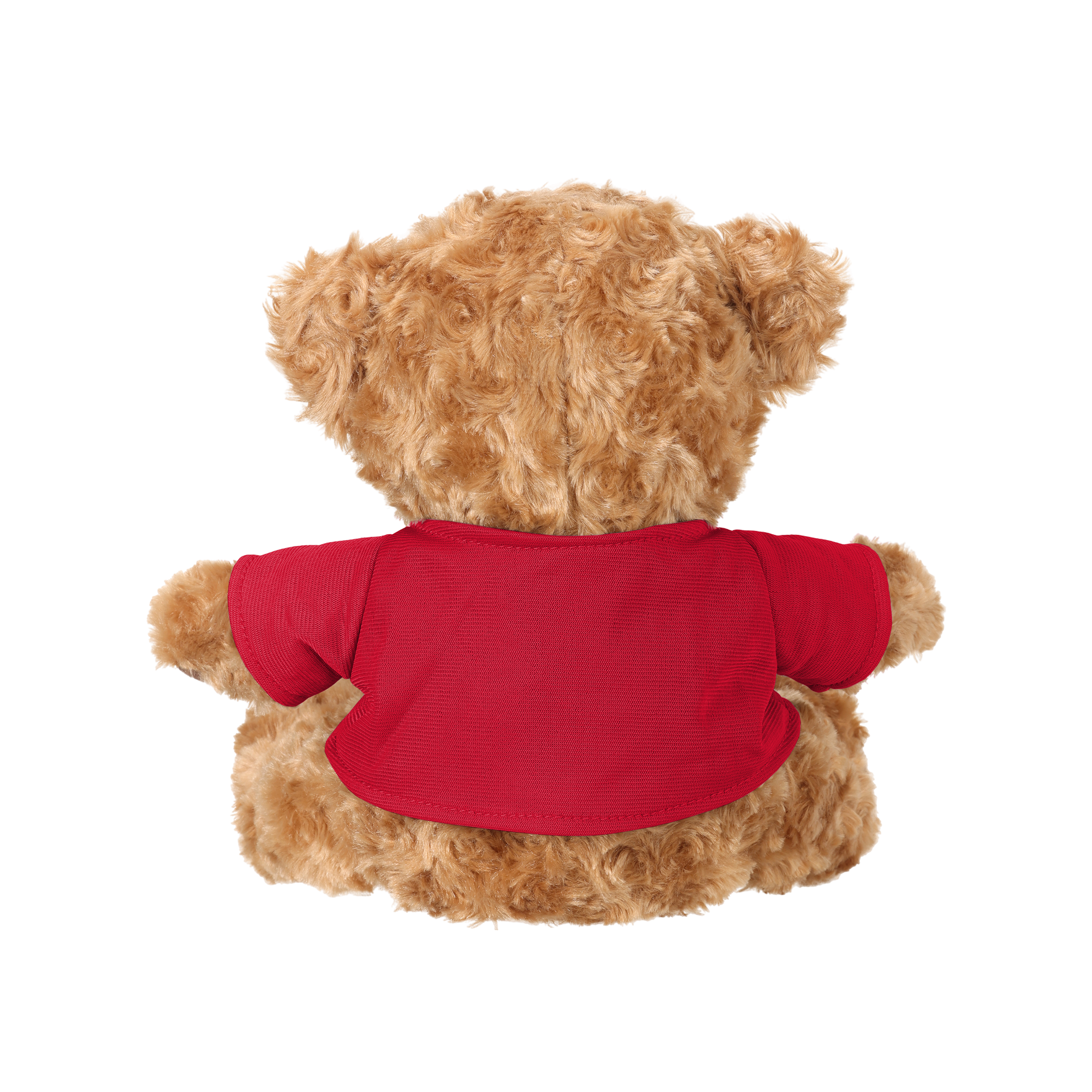 Houston Rockets FoCo 8" Plush Bear